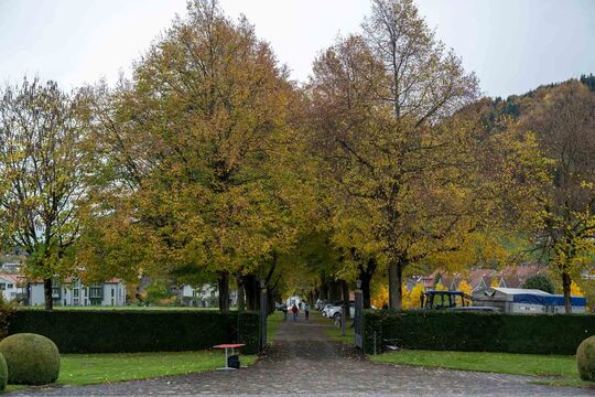 ERS_5698 Kopie